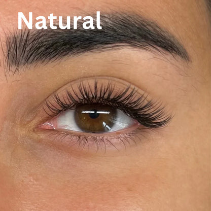 Aura Magnetic Lash Kit